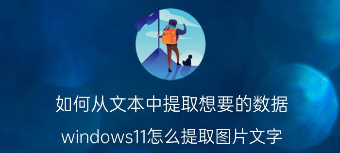 如何从文本中提取想要的数据 windows11怎么提取图片文字？